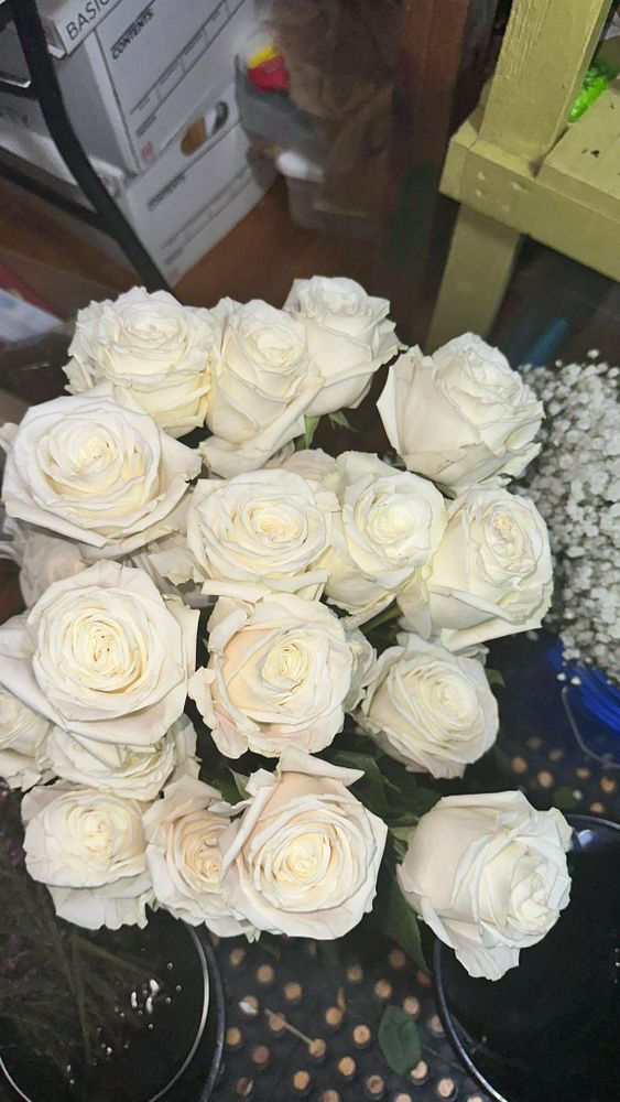 All Photos for The Dailey Daisy in Hardwick, VT