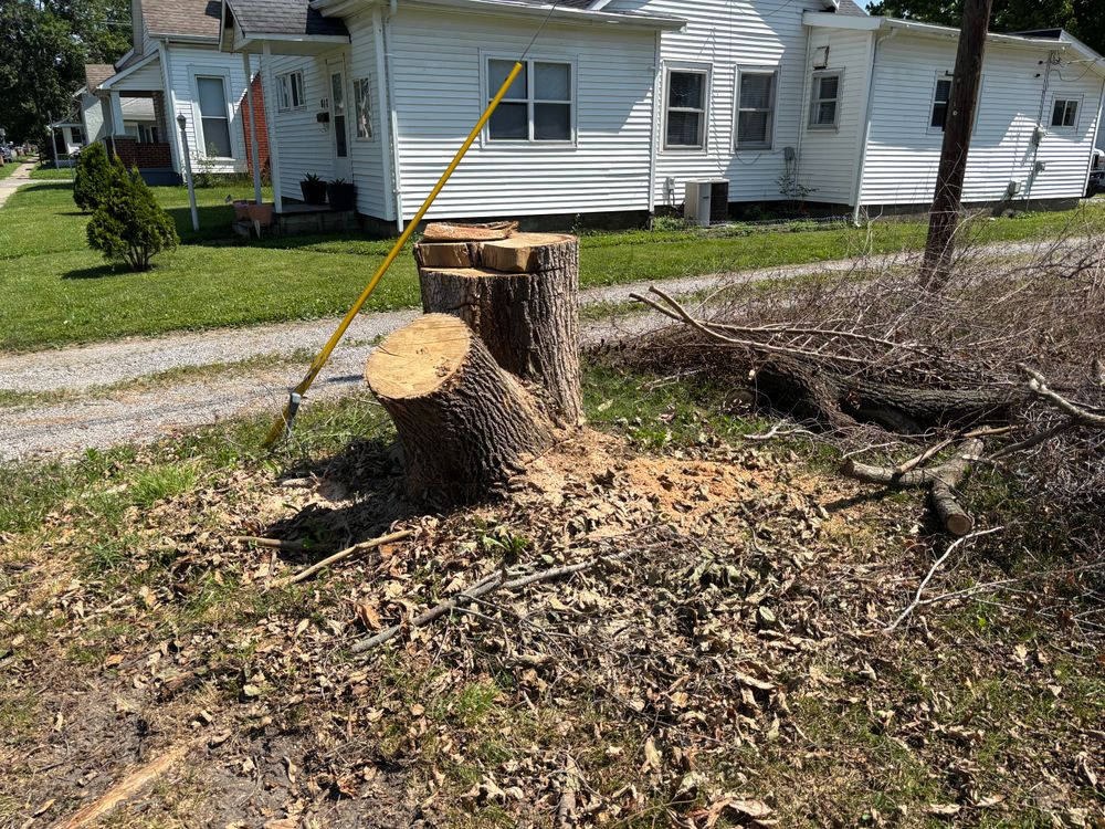 All Photos for Conrad's Stump Removal in Columbus, IN
