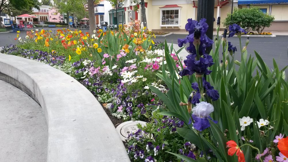 All Photos for Martin Stanko Landscape Construction in Livermore, CA