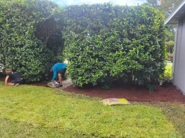 Maintenance for Lawns By St. John in North East, Florida