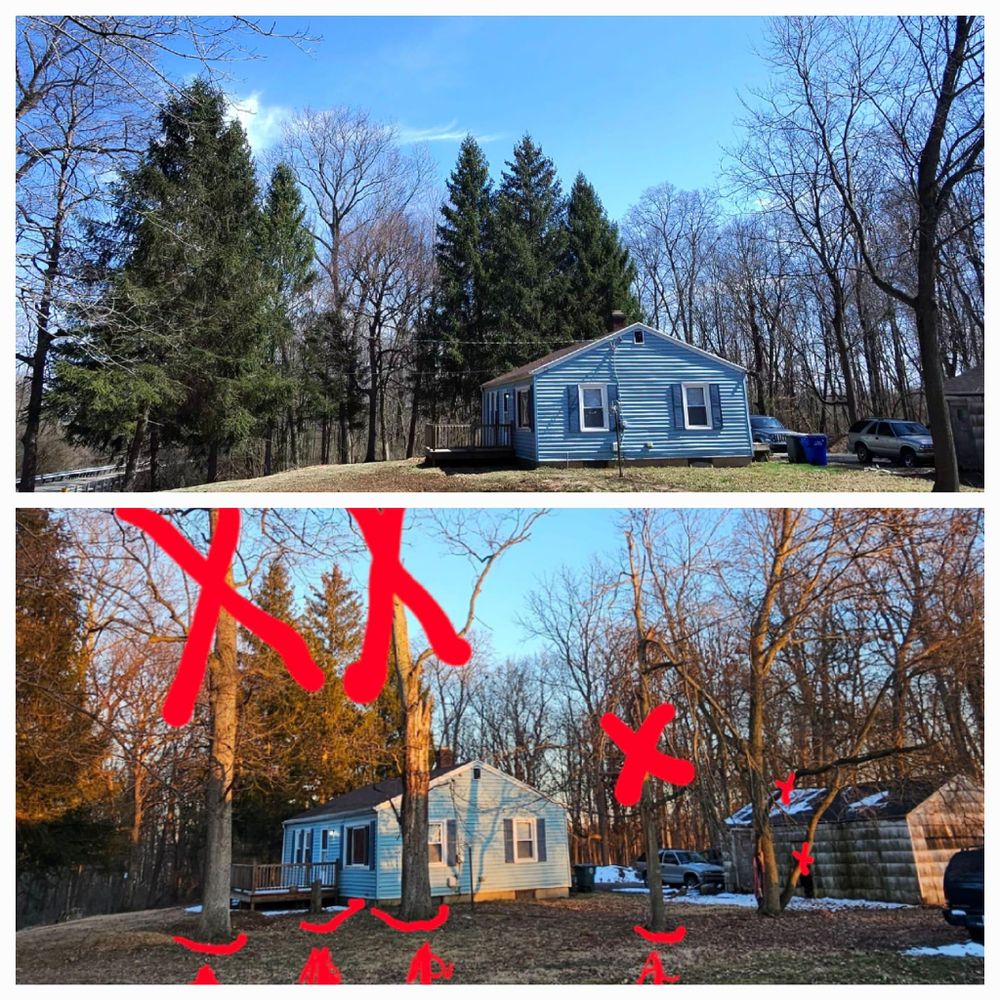 All Photos for F & F Tree Service in Beavercreek, OH