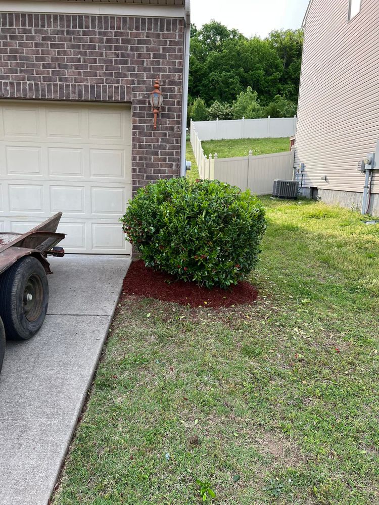 Enhance your home's curb appeal with our expert shrub trimming service, ensuring neat, healthy growth and beautifully sculpted hedges that complement your landscape while promoting plant health throughout the seasons. for Grass Management in Nashville, TN