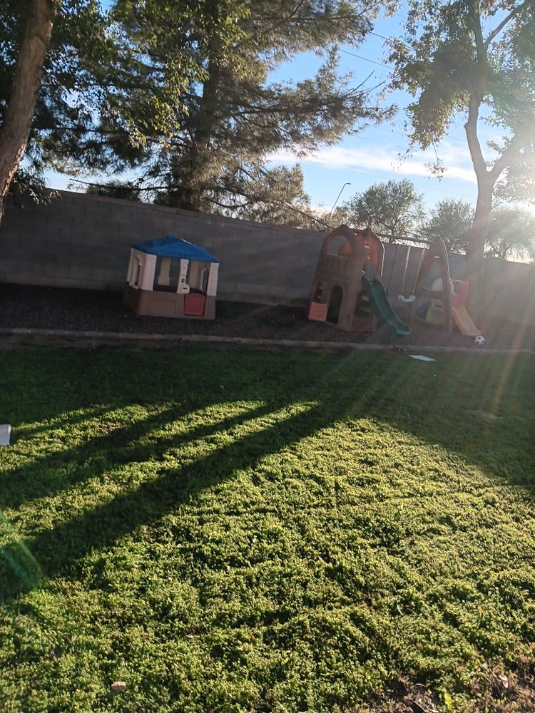 All Photos for Family Landscaping in Phoenix, AZ