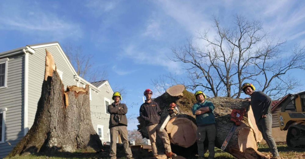 All Photos for Smith Tree Experts in Palmyra, VA