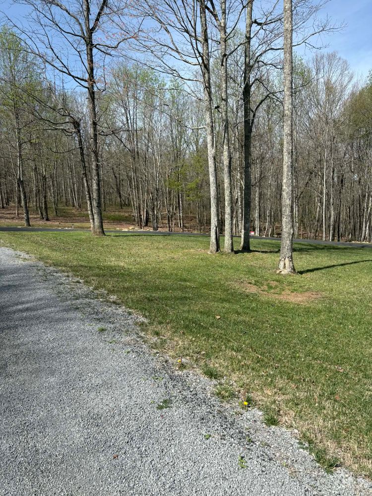 Landscaping for Starnes Hardscapes & Property Management LLC in Dunlap, TN