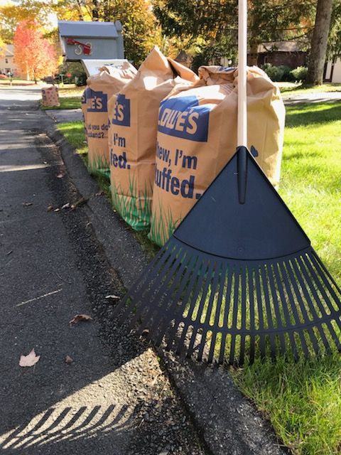 Fall Clean Up for Sosa Landscaping and Gardens, LLC in Clifton Park, New York