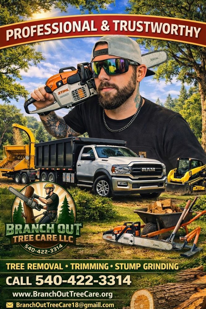 All Photos for Branch Out Tree Care LLC in Fredericksburg, VA