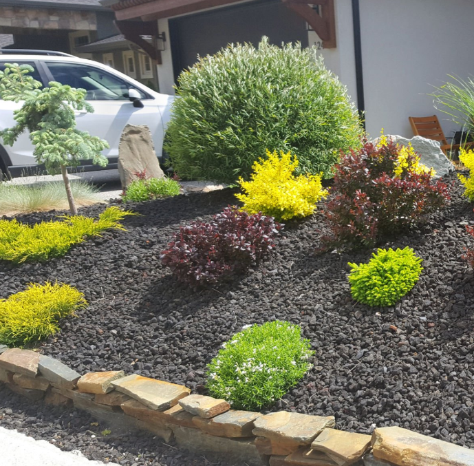 Our mulch installation service enhances your garden's appearance, conserves moisture, and controls weeds. Trust our expert team for a lush, vibrant landscape that improves curb appeal and promotes healthy plant growth. for C + C Landscaping in Chesterfield, VA