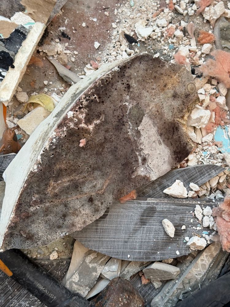 All Photos for N&D Restoration Services When Disaster Attacks, We Come In in Cape Coral,  FL