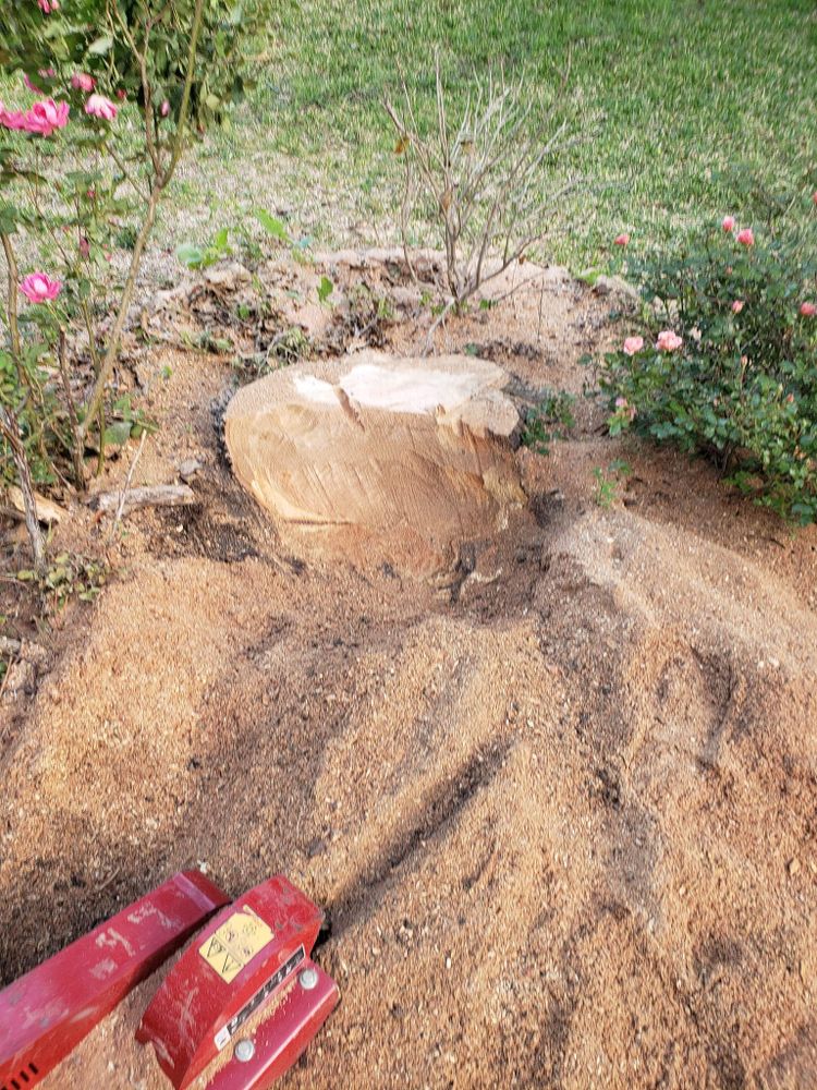 All Photos for Paquito's Landscaping in Ellis County, TX