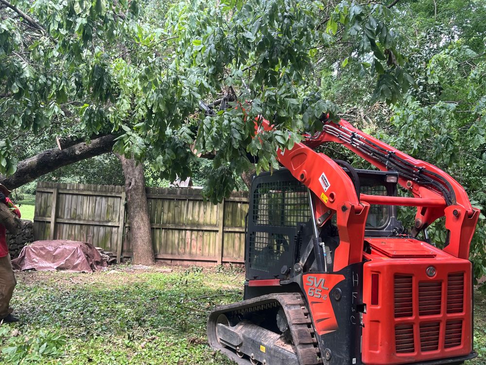 All Photos for Real Deal Lawn Care in Goodlettsville, TN