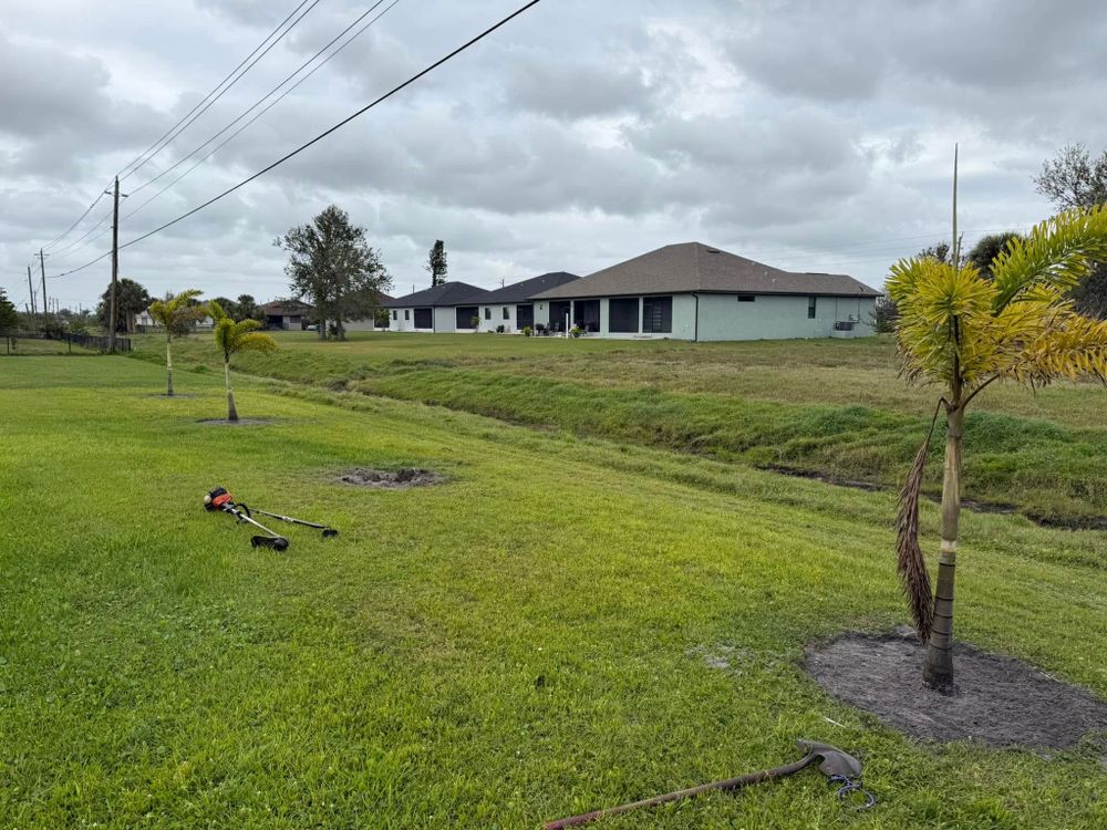 Tree Removal for MX Trees LLC in Englewood, FL
