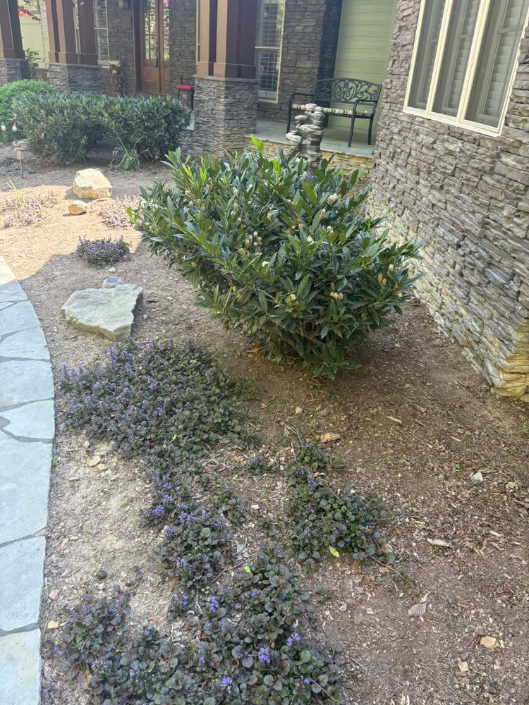 All Photos for Starnes Hardscapes & Property Management LLC in Dunlap, TN