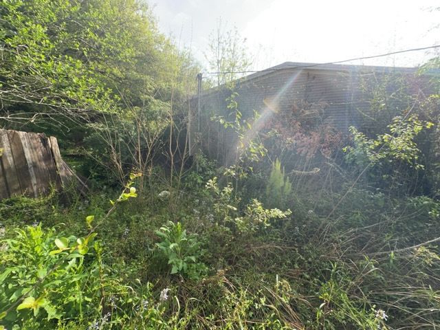 Tree Cleanup  for D&D Services of Pensacola in Pensacola, FL