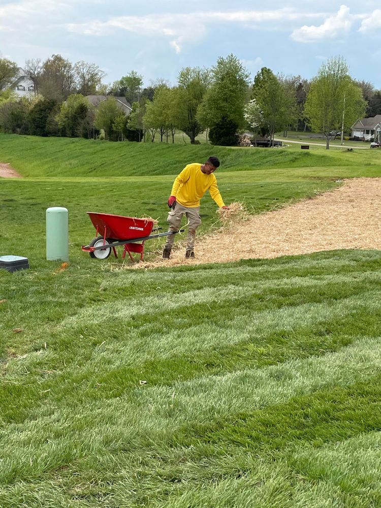 Landscaping for Transforming Landscaping & Tree Service in Bowling Green, KY