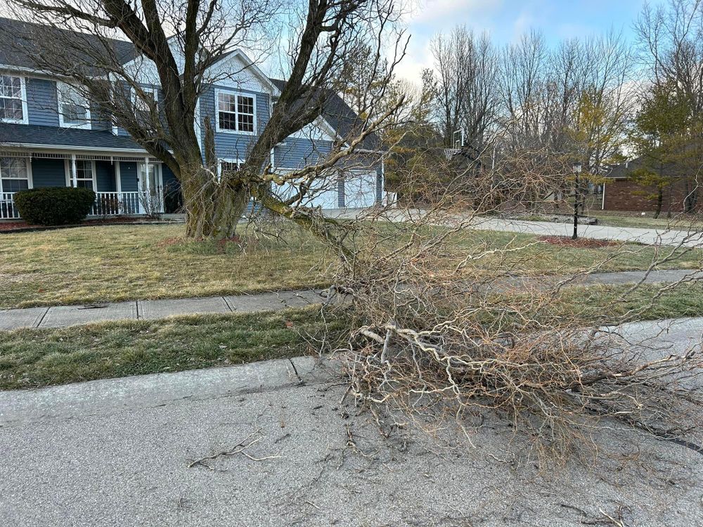 All Photos for Bearforce Lawn Care LLC in Greenfield, IN