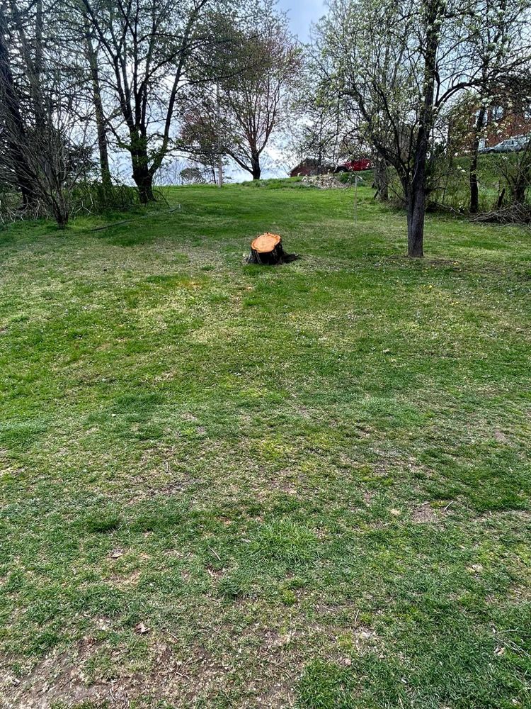 All Photos for NRV Tree Pro, LLC in Narrows, VA