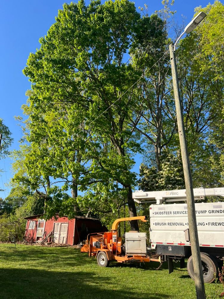 All Photos for Brooks Tree Service in Casar, NC