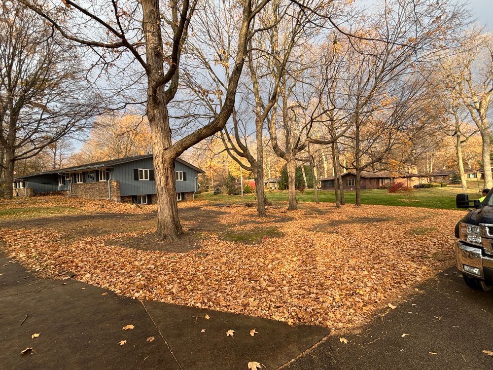 All Photos for Cena Landscaping in Rockford, IL