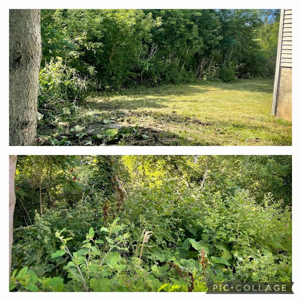 All Photos for Bishop’s Property Maintenance in Franklin, VT