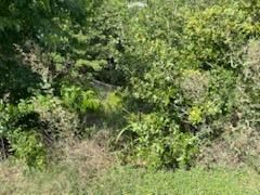 All Photos for Oviedo Land & Garden in Bastrop, TX