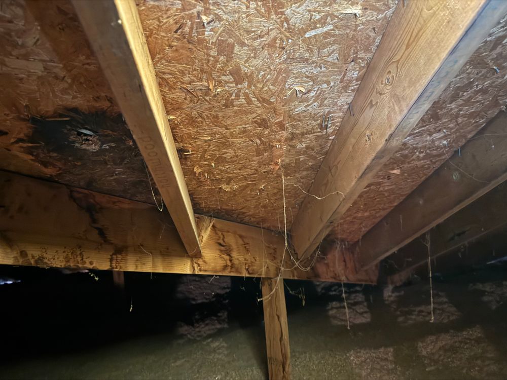 All Photos for FNS Exterior Consulting LLC, Powered By Live OAK in Cumming, GA