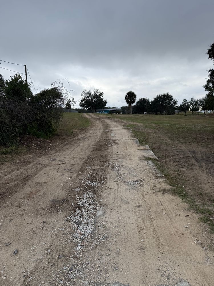 All Photos for Amerigrown Tree And Lawn in Apopka, FL