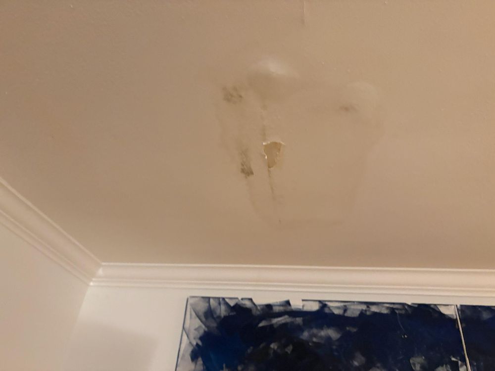 All Photos for ACP Drywall Repair  in Los Angeles, CA
