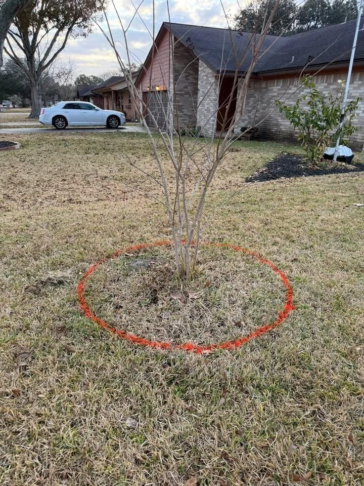 All Photos for Texas Curb N Borders in Houston, TX