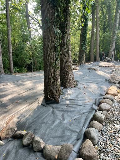 All Photos for PineView Property Services in Canton, MI