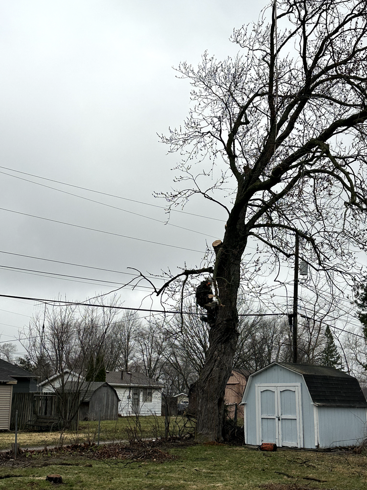 All Photos for Advanced Tree Solutions in Rockville, IN