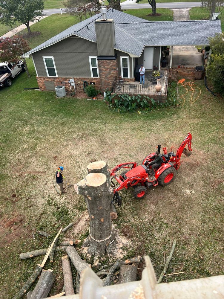 All Photos for Brooks Tree Service in Casar, NC