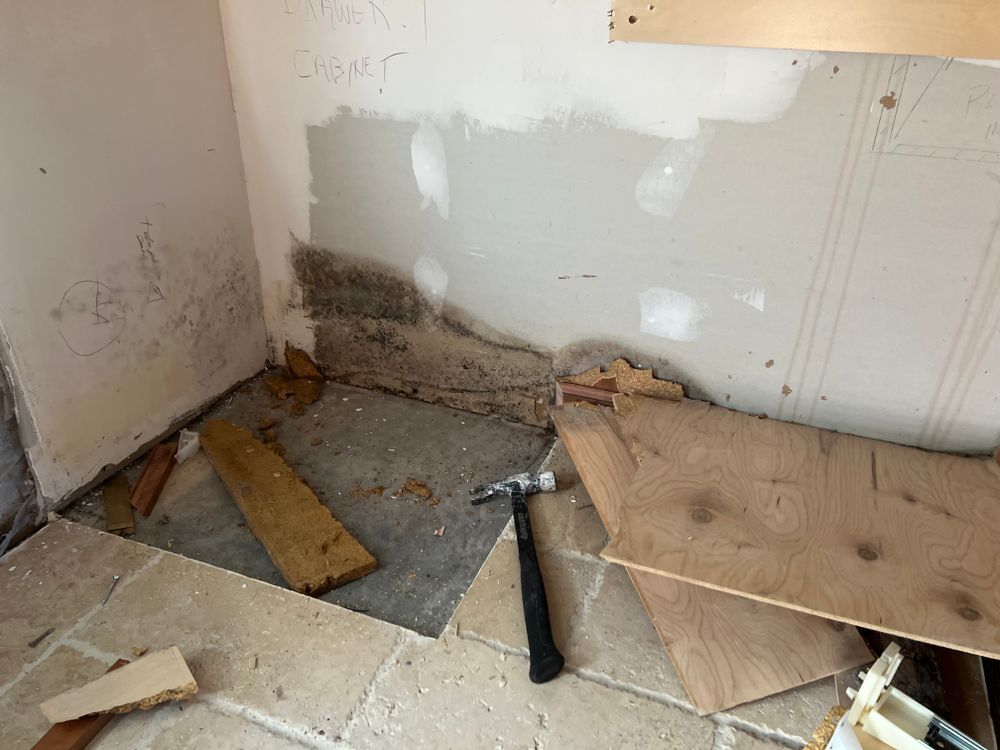 Mold Remediation for N&D Restoration Services When Disaster Attacks, We Come In in Cape Coral,  FL