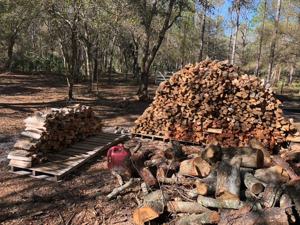 Stump Removal for Adam's Tree and Stump Care in Bradenton, Florida