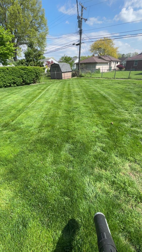 All Photos for Yard Theory in Willowick, OH