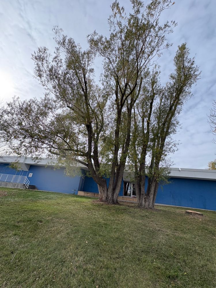 All Photos for Elevated Tree Care in Gillette, WY