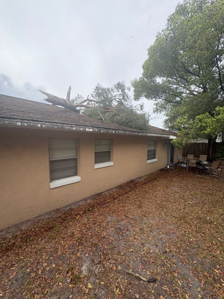 All Photos for Amerigrown Tree And Lawn in Apopka, FL