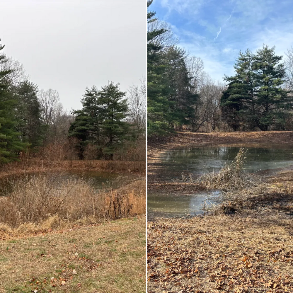 All Photos for Optimum Tree Service And Landscaping in Bowling Green, KY