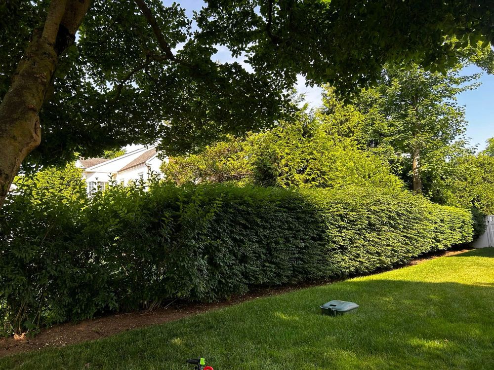 All Photos for Jose Gonzalez Landscaping in Stamford, CT