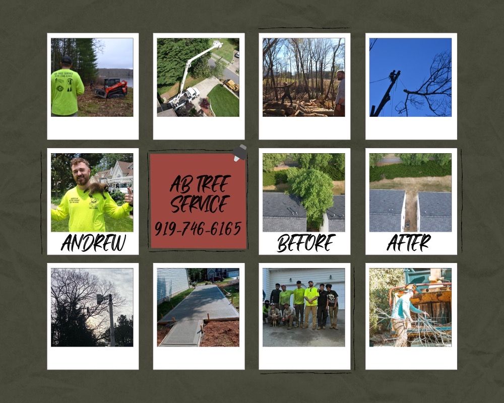 All Photos for AB Tree Service in Raleigh, NC