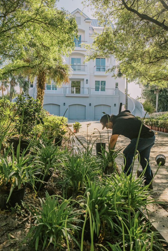 Landscaping for Pro Designs Landscaping in Jacksonville, FL