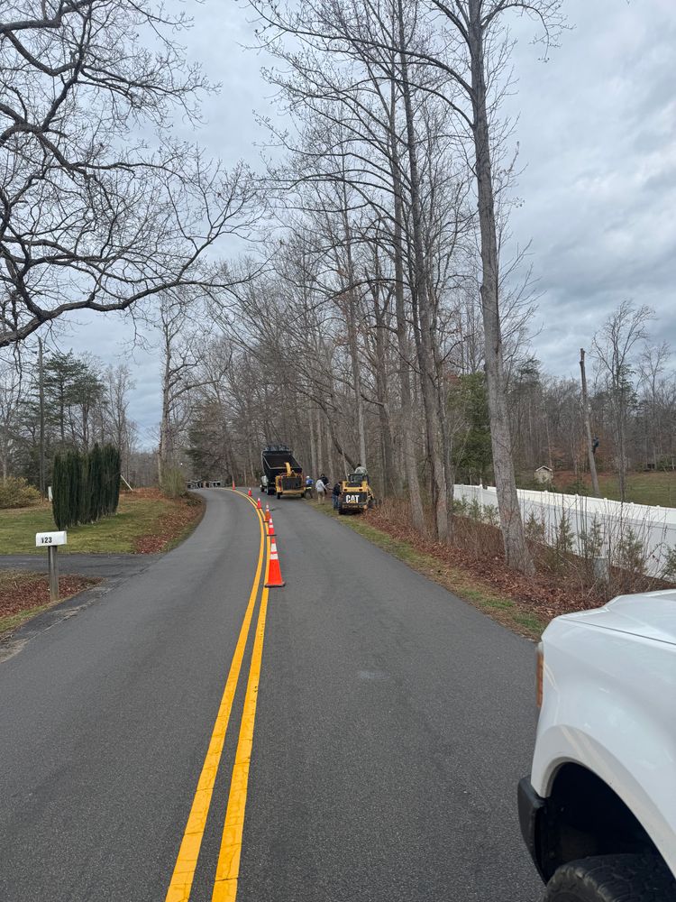 All Photos for Branch Out Tree Care LLC in Fredericksburg, VA