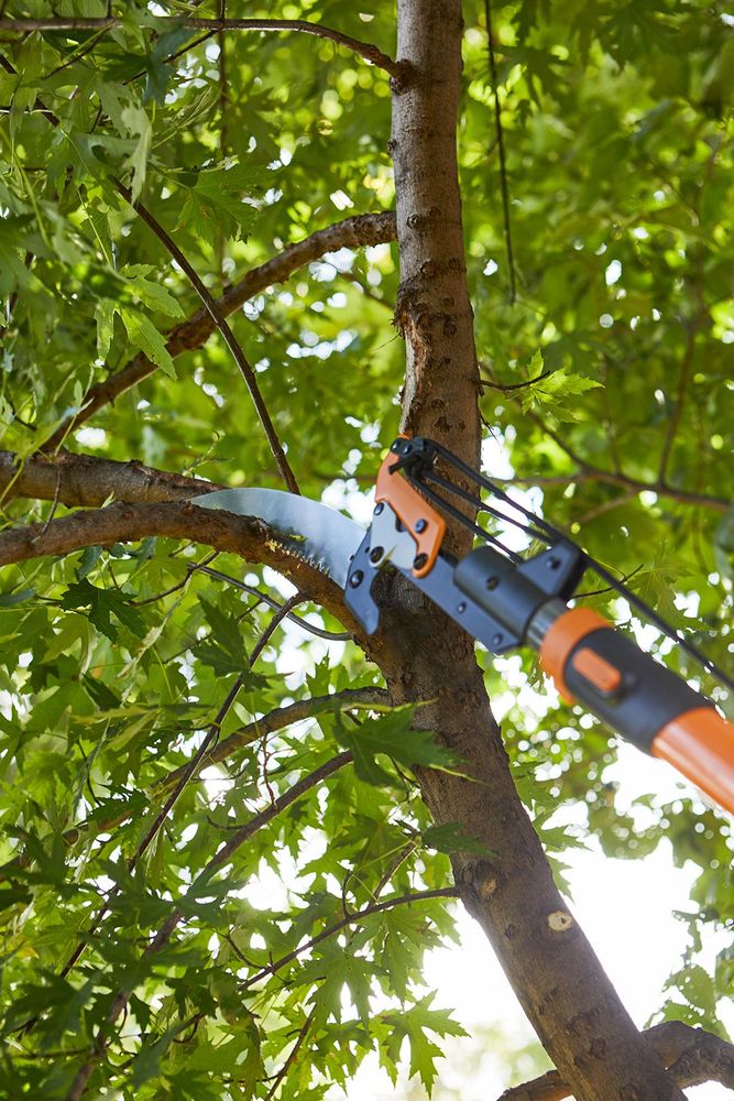 Tree Services for Wofford's Grading Clearing and Landscaping in Milton, GA