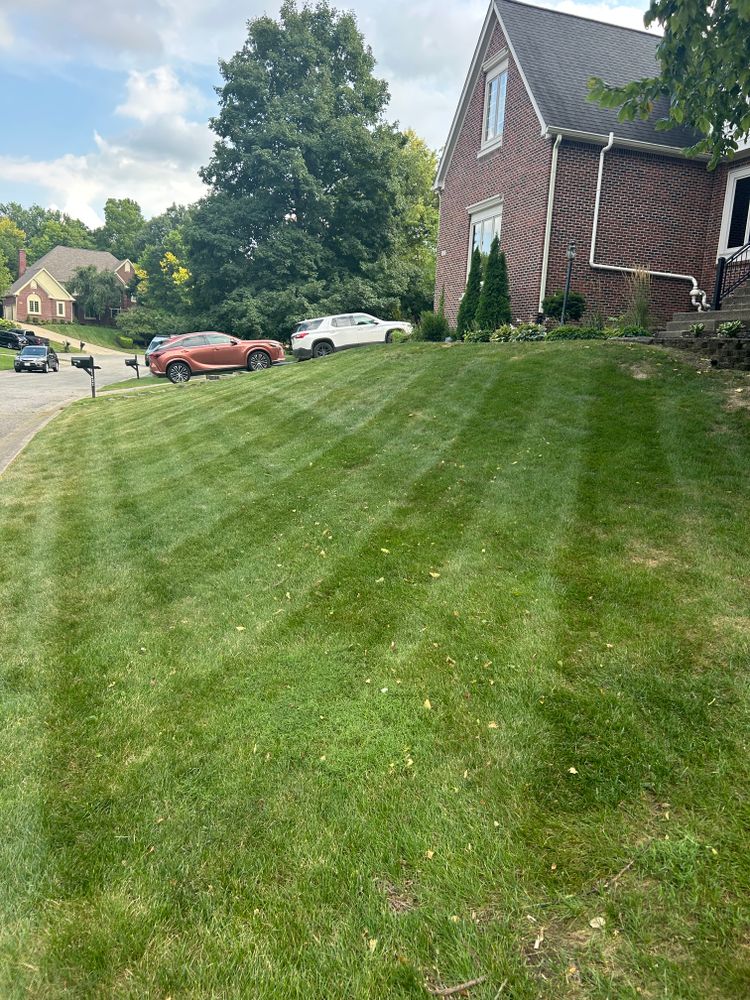 All Photos for Plenty Landscaping Solutions in Indianapolis, IN