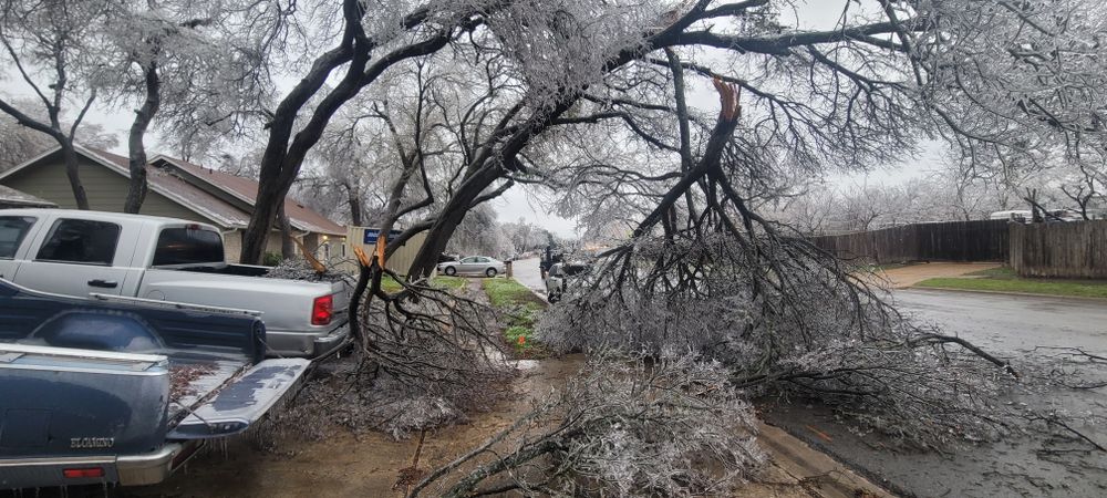 All Photos for Texican JLS in Manor, TX