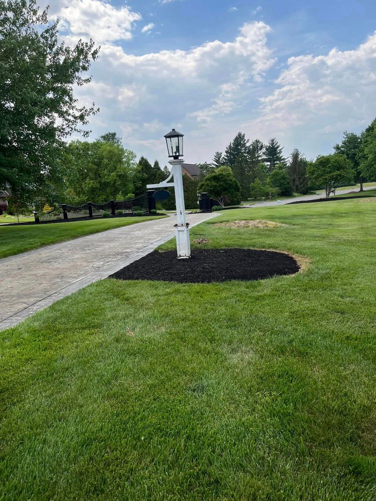 Landscaping for Cincinnati’s Finest Landscape Services LLC in Cincinnati, OH