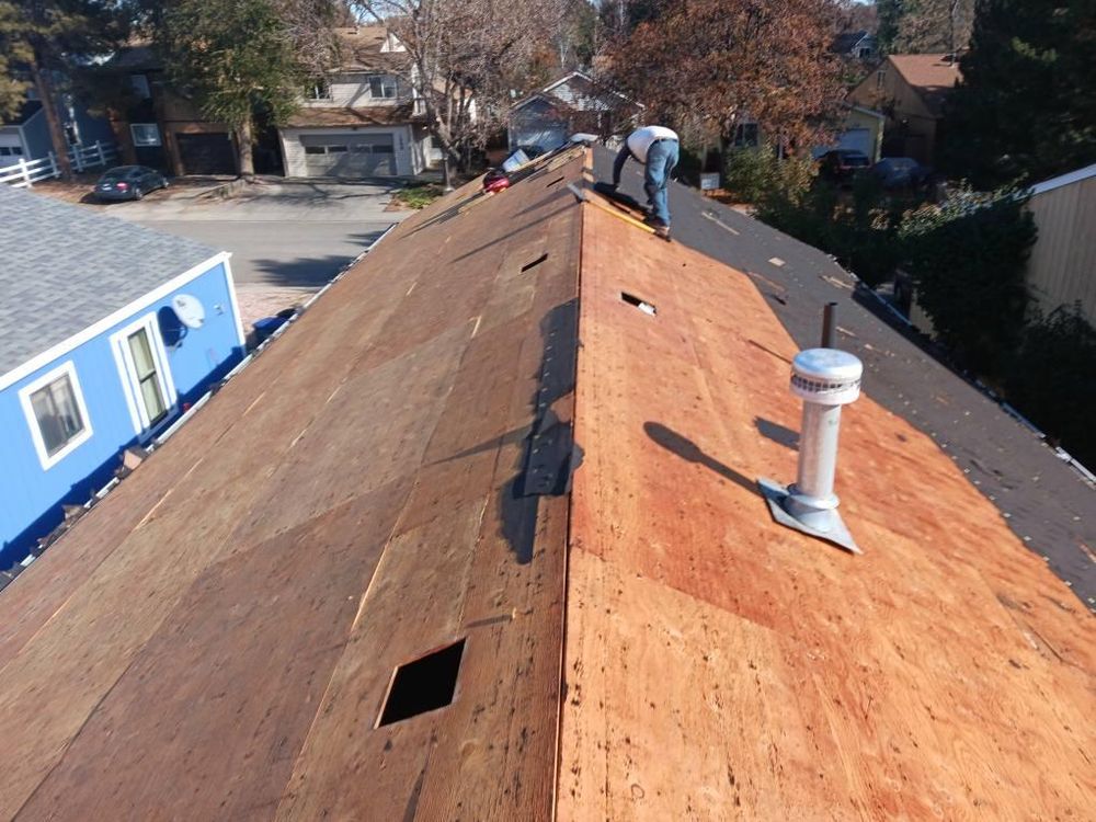 All Photos for Distinctive Home Renovations in Longmont, CO