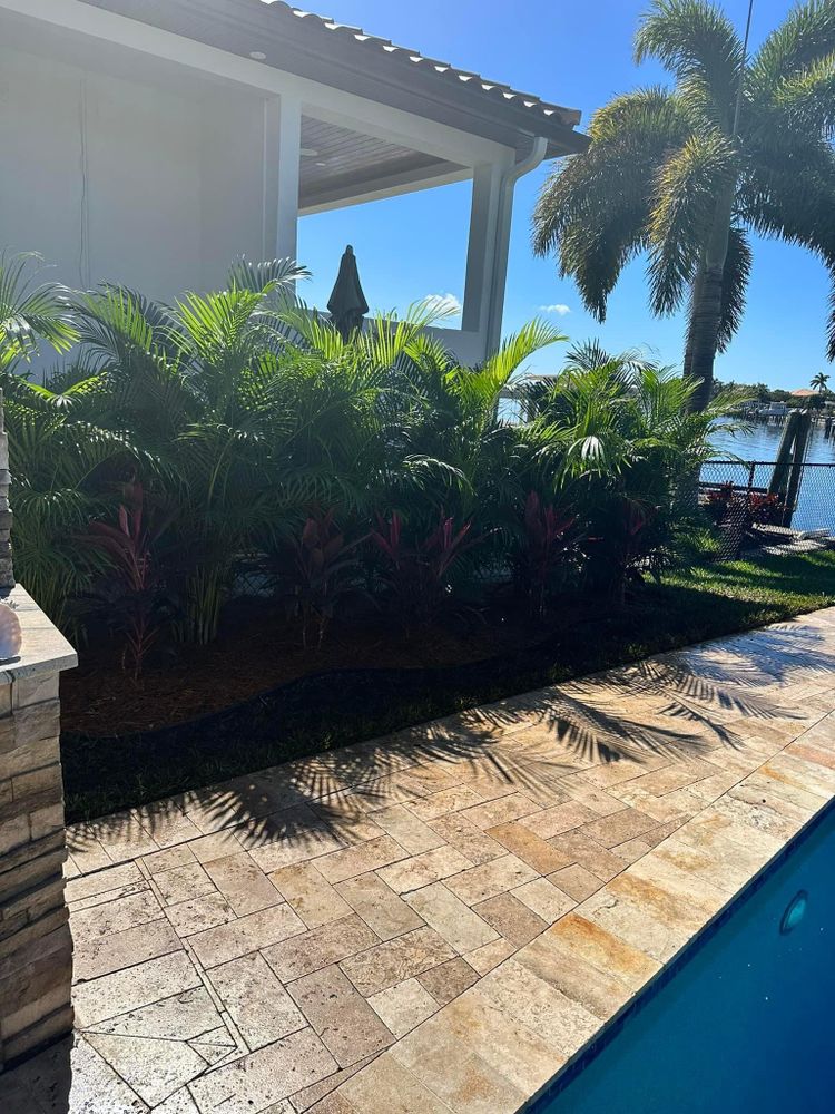 Areca Palms for Team Tolson Landscape in Tampa Bay, FL