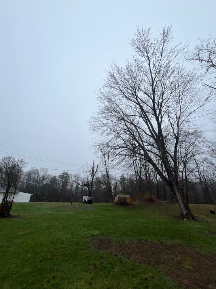 All Photos for Licensed to Cut Tree Service in Athens, PA