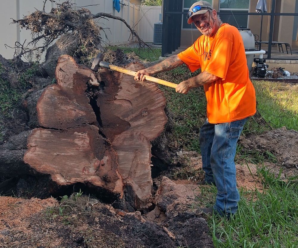 Tree Removal for Bills Tree Service in Valrico, FL